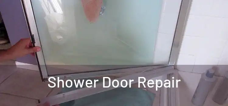 Shower Door Repair